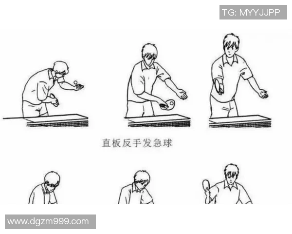 科学乒乓球技术训练方法的全面解析与实用技巧分享 科学乒乓球技术训练方法的全面解析与实用技巧分享
