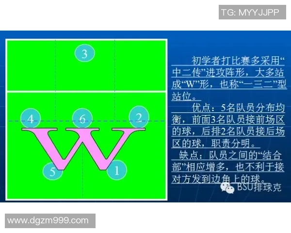 西安排球队中路突破的战术分析与效果评估 西安排球队中路突破的战术分析与效果评估