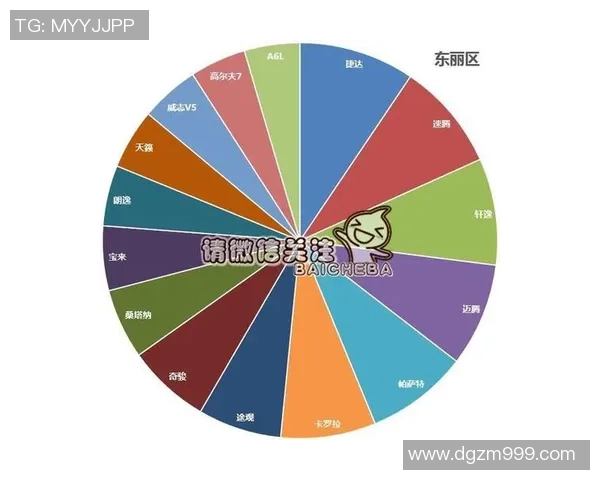 独家分析：武汉网球队的配合对比