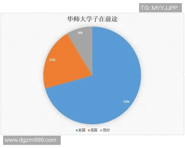独家分析：成都排球队的耐力对比