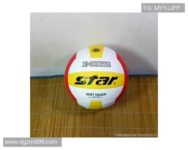 排球装备选购：训练器材推荐