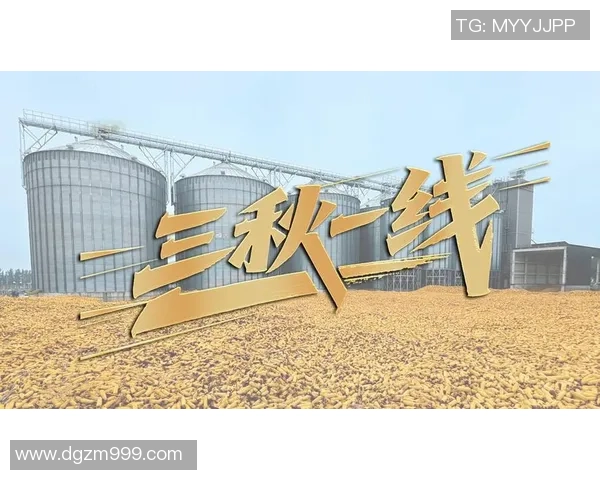 重磅专题：上海排球队的中路突破革新