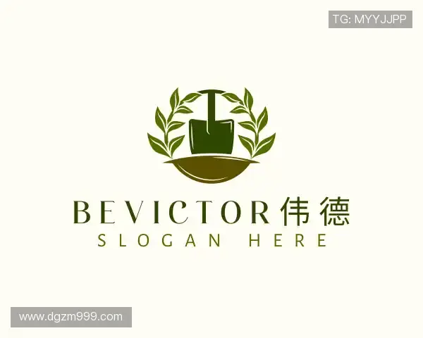 关于bevictor伟德